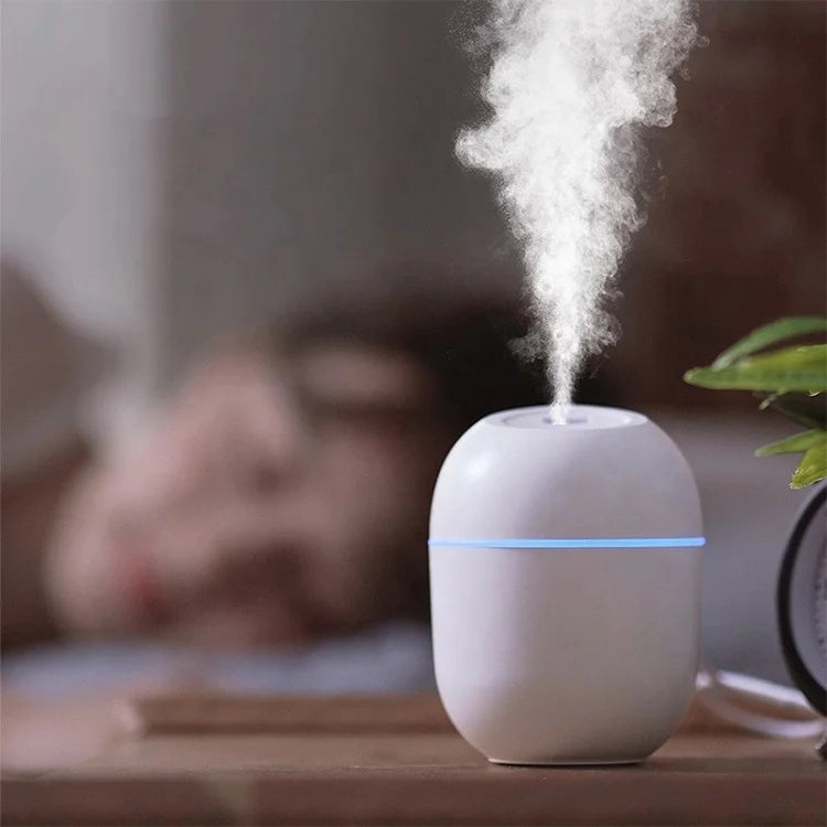220 ml USB Mini Humidifier